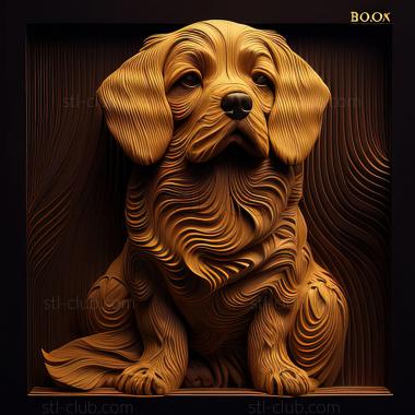 3D model st Boo dog famous animal (STL)